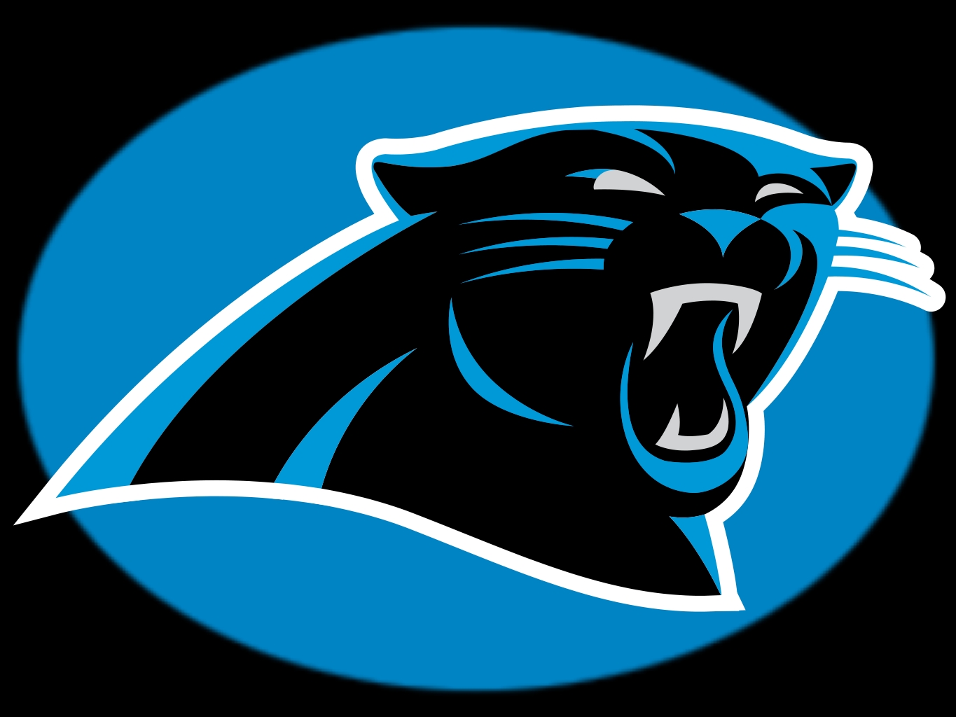 CarolinaPanthers2012